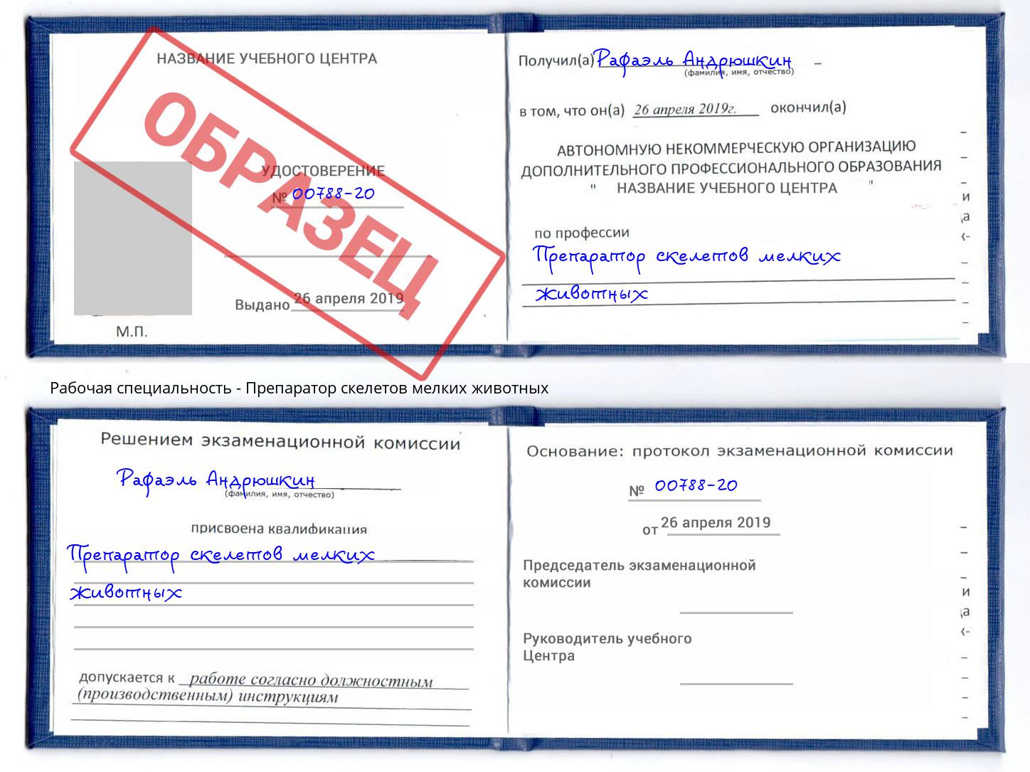 Препаратор скелетов мелких животных Кириши
