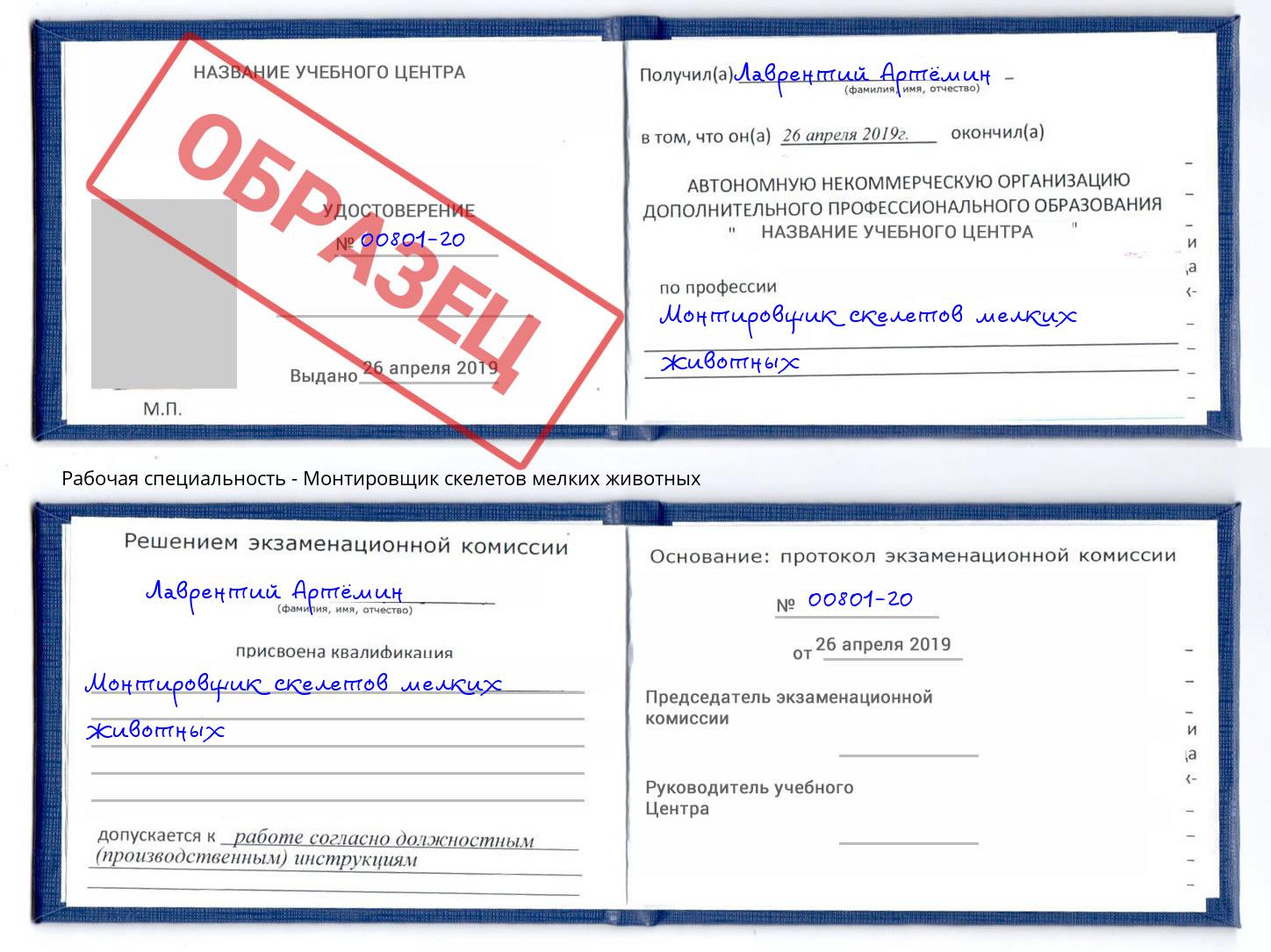 Монтировщик скелетов мелких животных Кириши