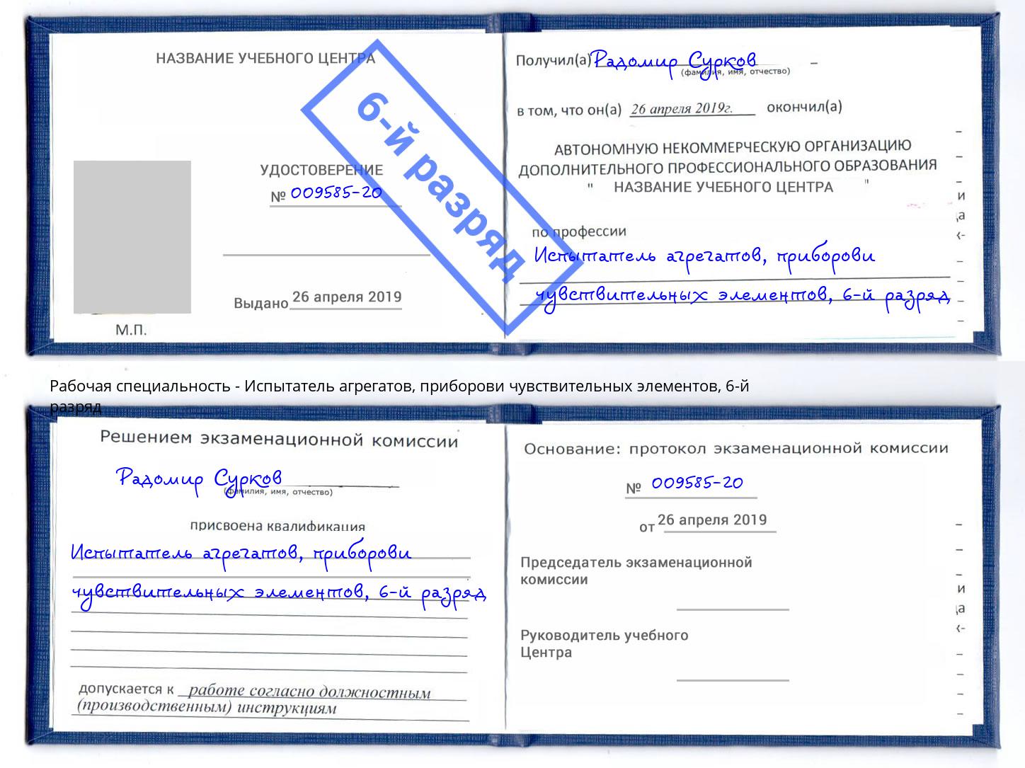 корочка 6-й разряд Испытатель агрегатов, приборови чувствительных элементов Кириши