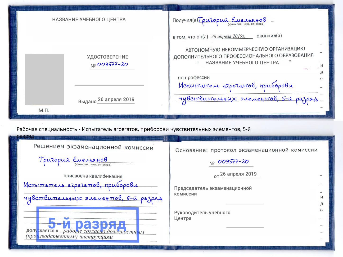 корочка 5-й разряд Испытатель агрегатов, приборови чувствительных элементов Кириши