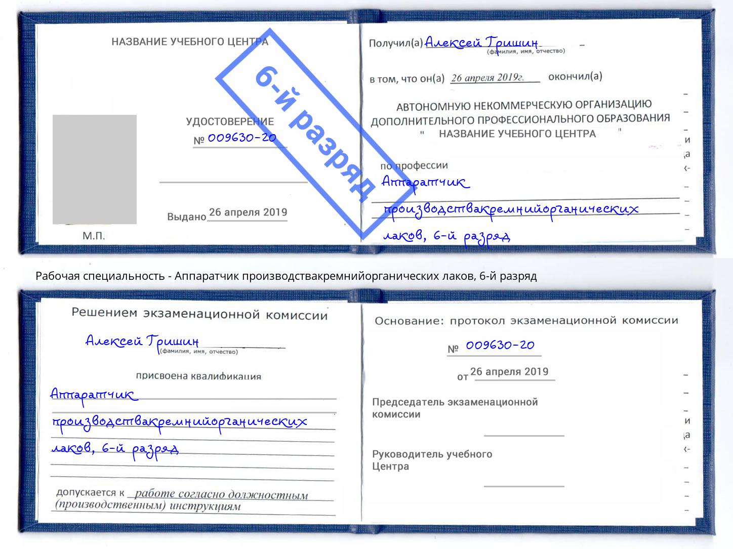 корочка 6-й разряд Аппаратчик производствакремнийорганических лаков Кириши