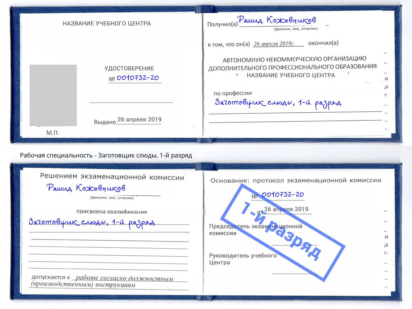 корочка 1-й разряд Заготовщик слюды Кириши
